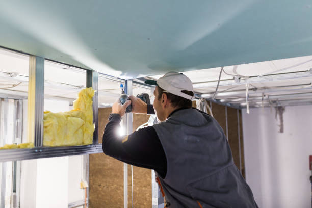 Best Professional Insulation Contractor  in Greenfield, MO
