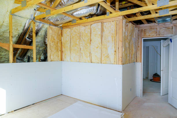 Best Insulation Removal  in Greenfield, MO