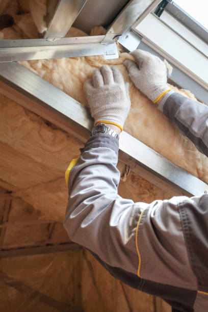 Best Insulation Removal  in Greenfield, MO