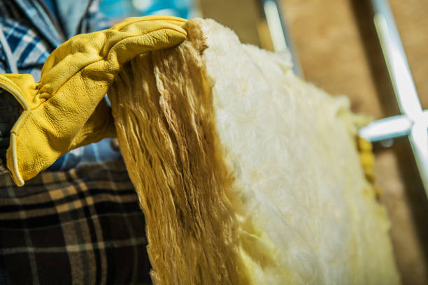 Best Insulation Contractors for Homes  in Greenfield, MO
