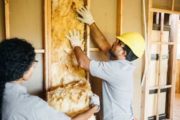 Best Best Insulation Companies  in Greenfield, MO