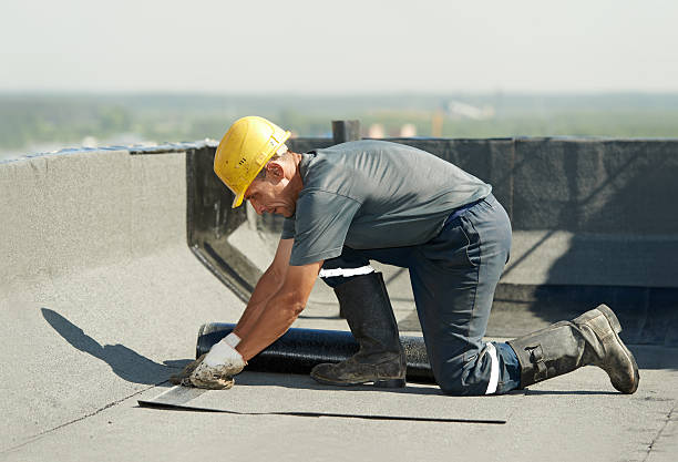 Best Cellulose Insulation  in Greenfield, MO