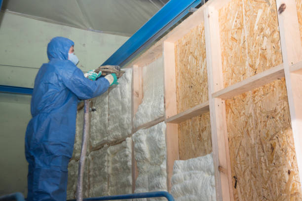 Best Insulation for New Construction  in Greenfield, MO
